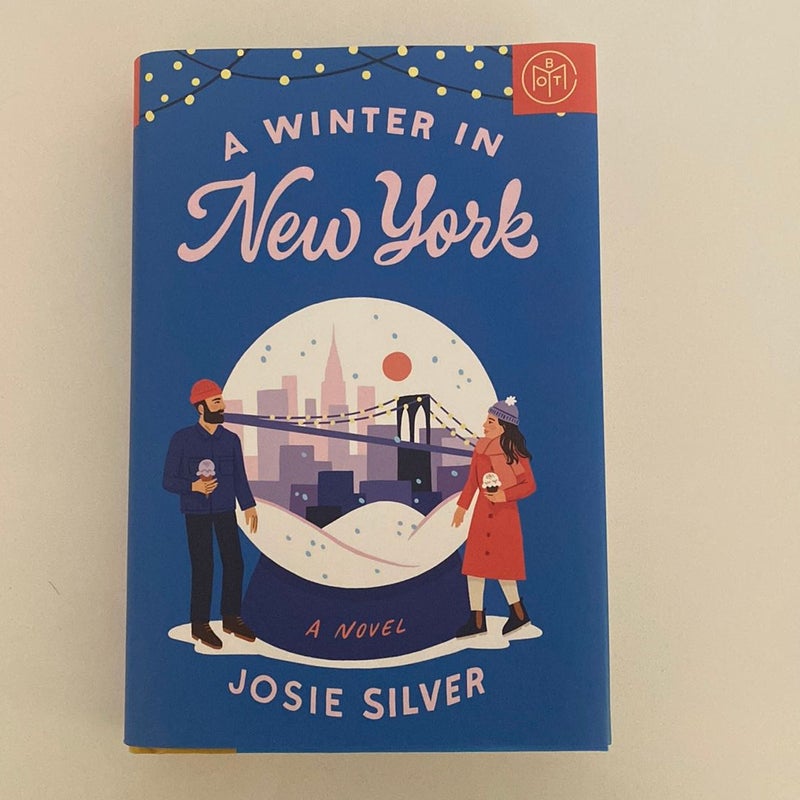 A Winter in New York