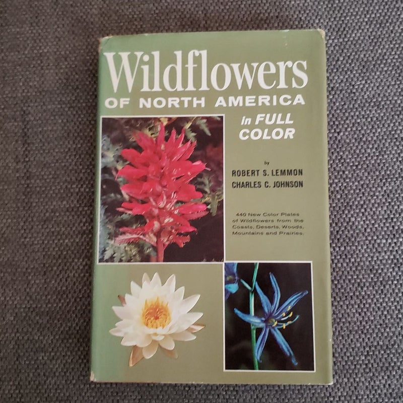 Wildflowers of North America in Full Color