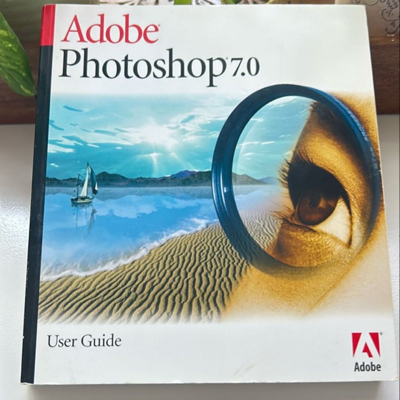 Adobe Photoshop 7.0