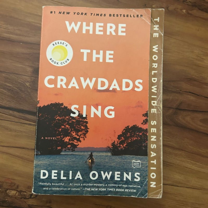 Where the Crawdads Sing