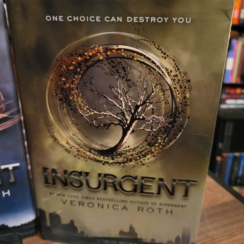 Divergent Series Book Bundle