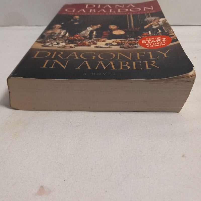 Dragonfly in Amber (Starz Tie-In Edition)