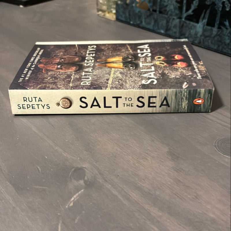 Salt to the Sea