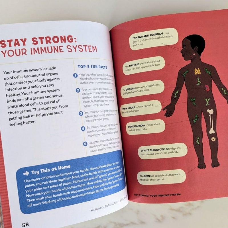 Human Body Activity Book for Kids