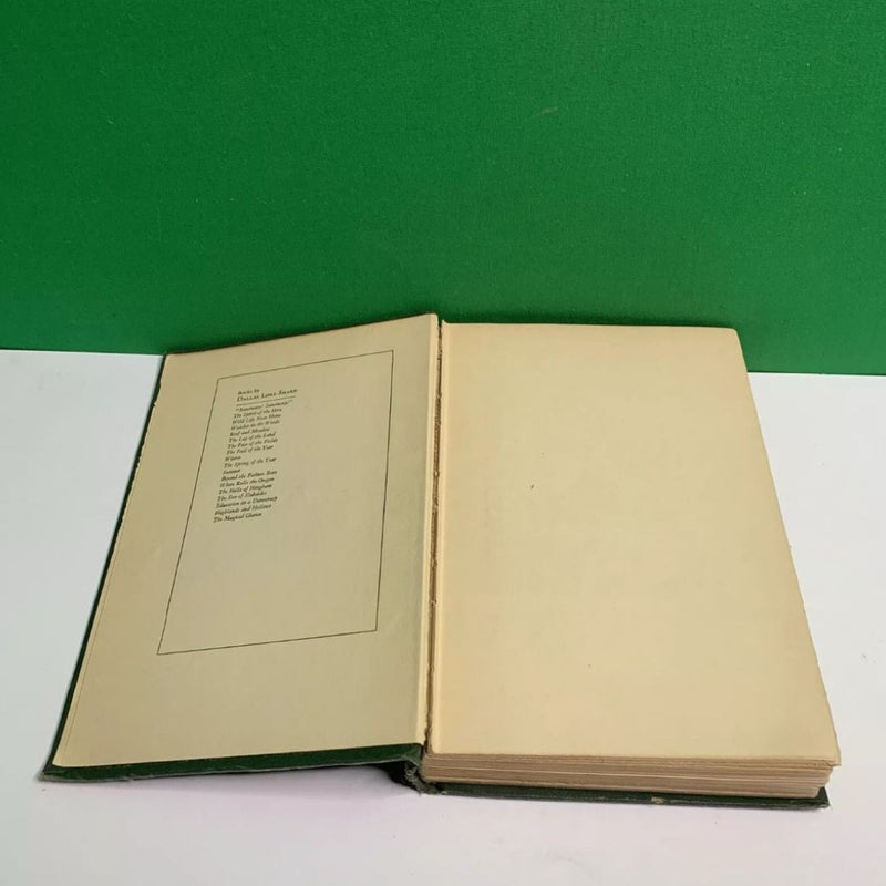 Vintage 1926 Book SANCTUARY! SANCTUARY! by Dallas Lore Sharp FIRST EDITION HC