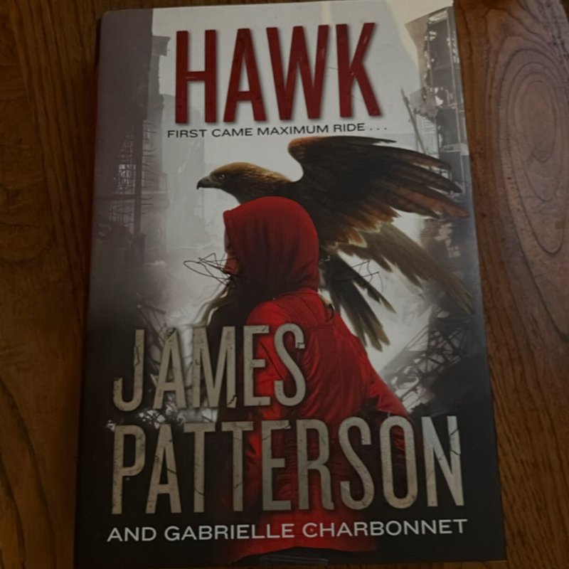 Hawk by James Patterson, Hardcover | Pangobooks