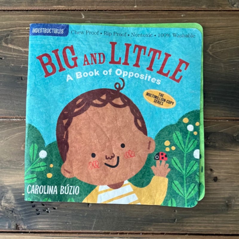 Indestructibles: Big and Little: a Book of Opposites