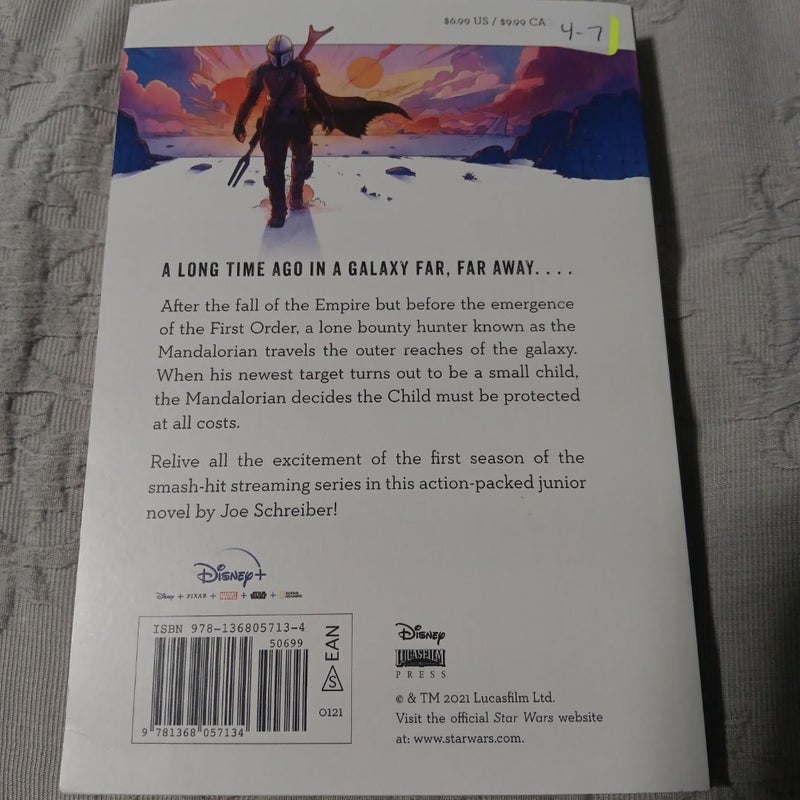 Star Wars: the Mandalorian Junior Novel