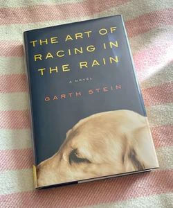 The Art of Racing in the Rain