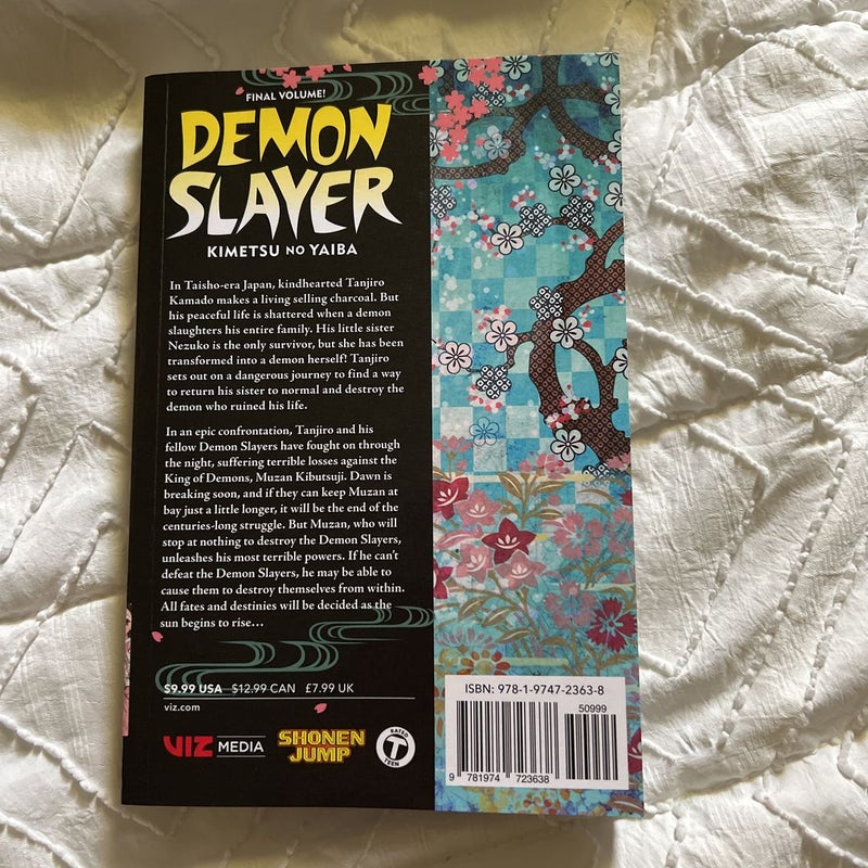 Demon Slayer: Kimetsu No Yaiba: Demon Slayer: Kimetsu No Yaiba, Vol. 23 :  Volume 23 (Paperback) 