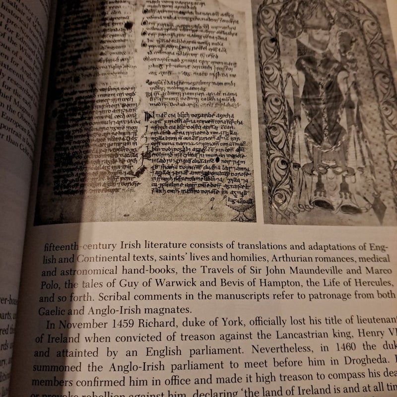 The Oxford Illustrated History of Ireland
