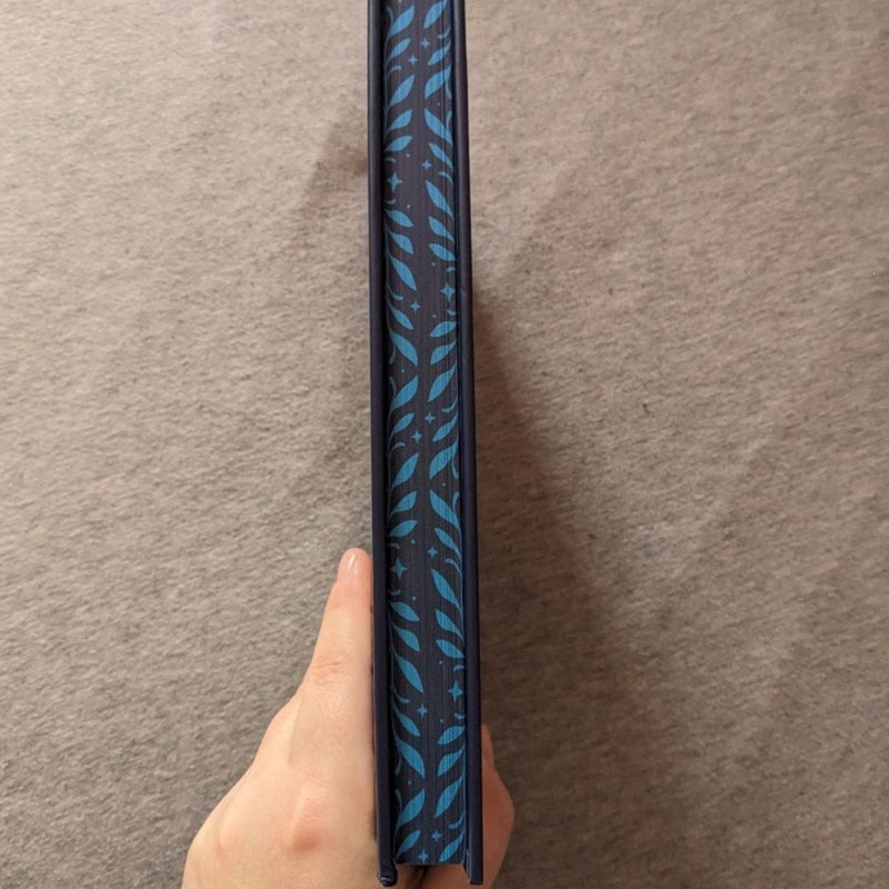 Full Bookish Box Never After Series 4 Books