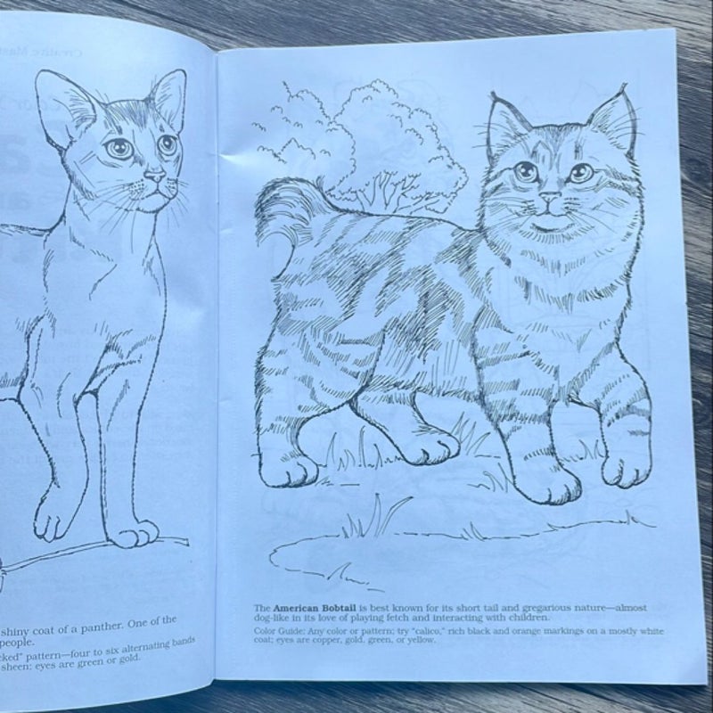 Color Your Own Cats and Kittens