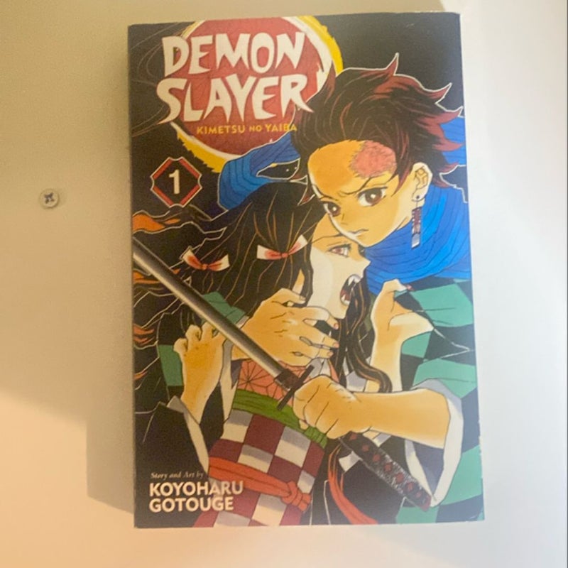 Demon Slayer: Kimetsu No Yaiba, Vol. 1