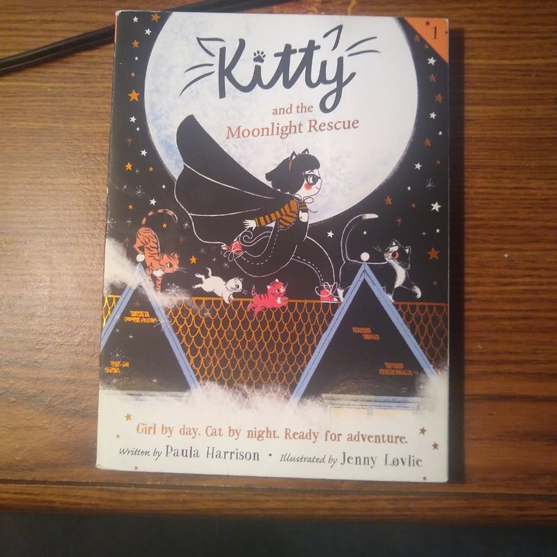 Kitty and the Moonlight Rescue