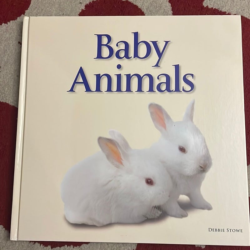 Baby Animals 