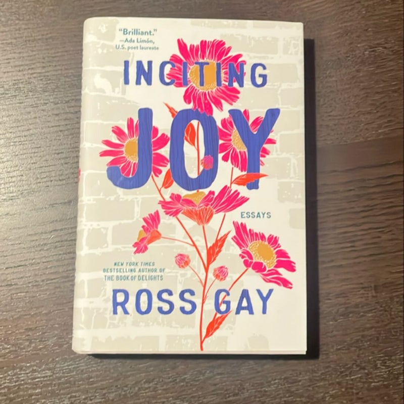 Inciting Joy