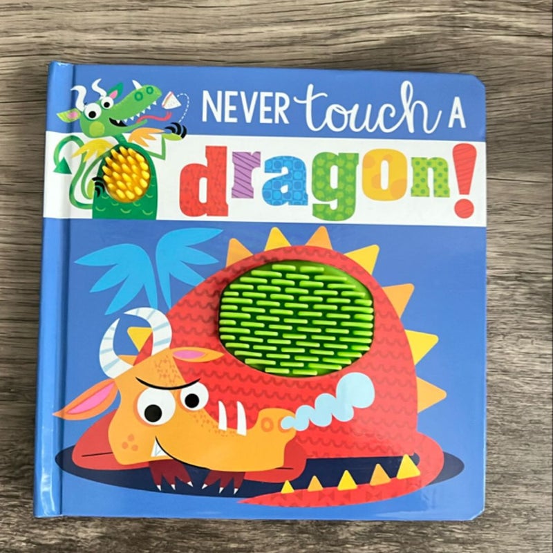 Never Touch a Dragon