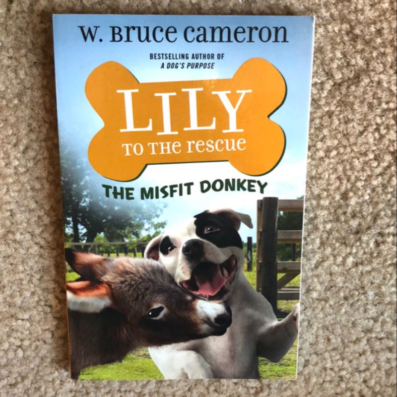 ‼️Lily to the Rescue: the Misfit Donkey