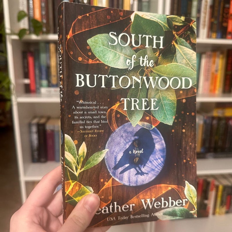 South of the Buttonwood Tree