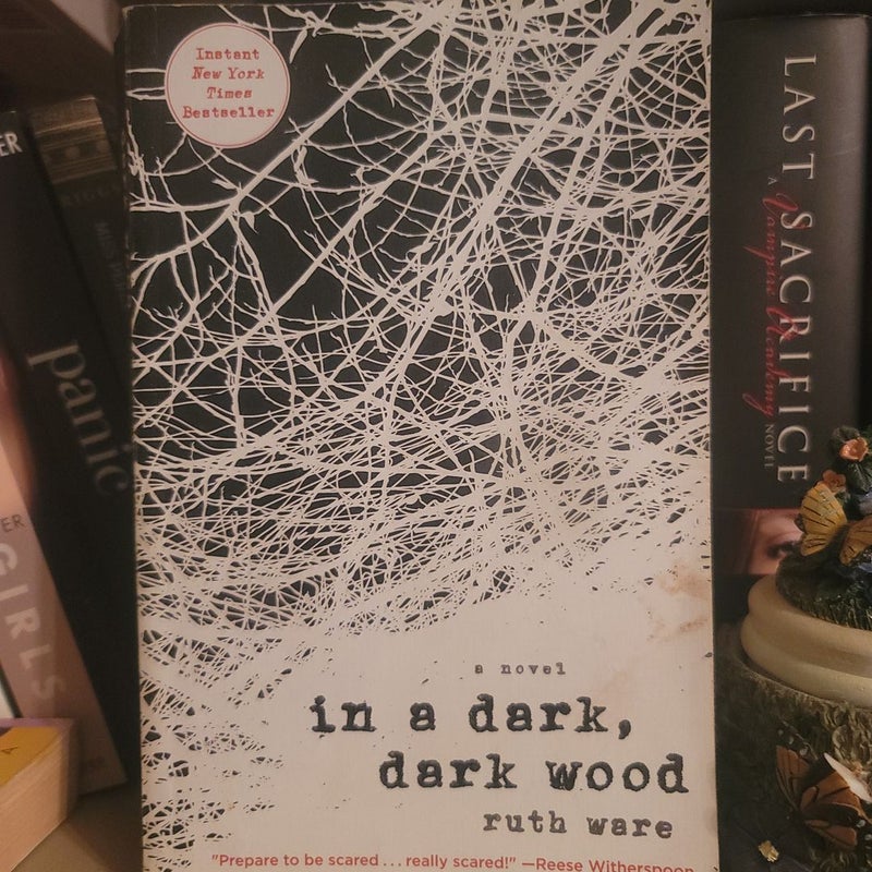 In a Dark, Dark Wood