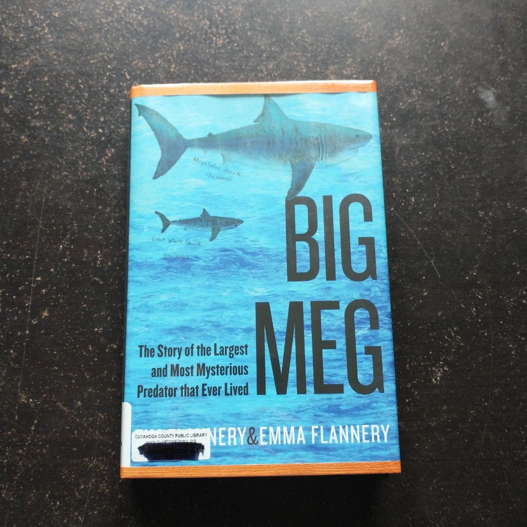 Big Meg