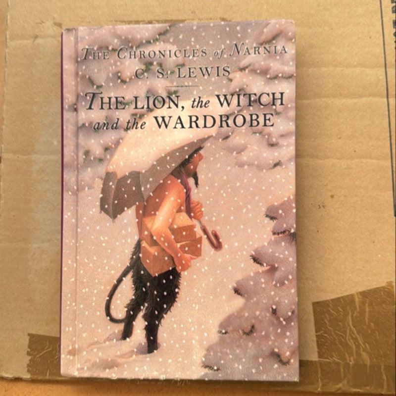 The lion, the witch and the wardrobe 