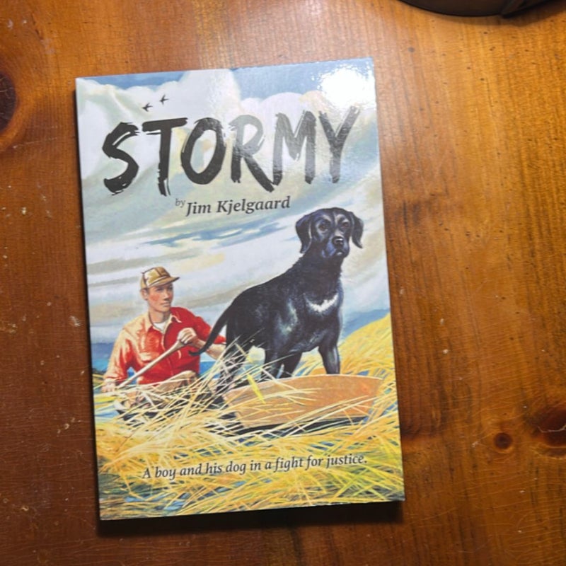 Stormy