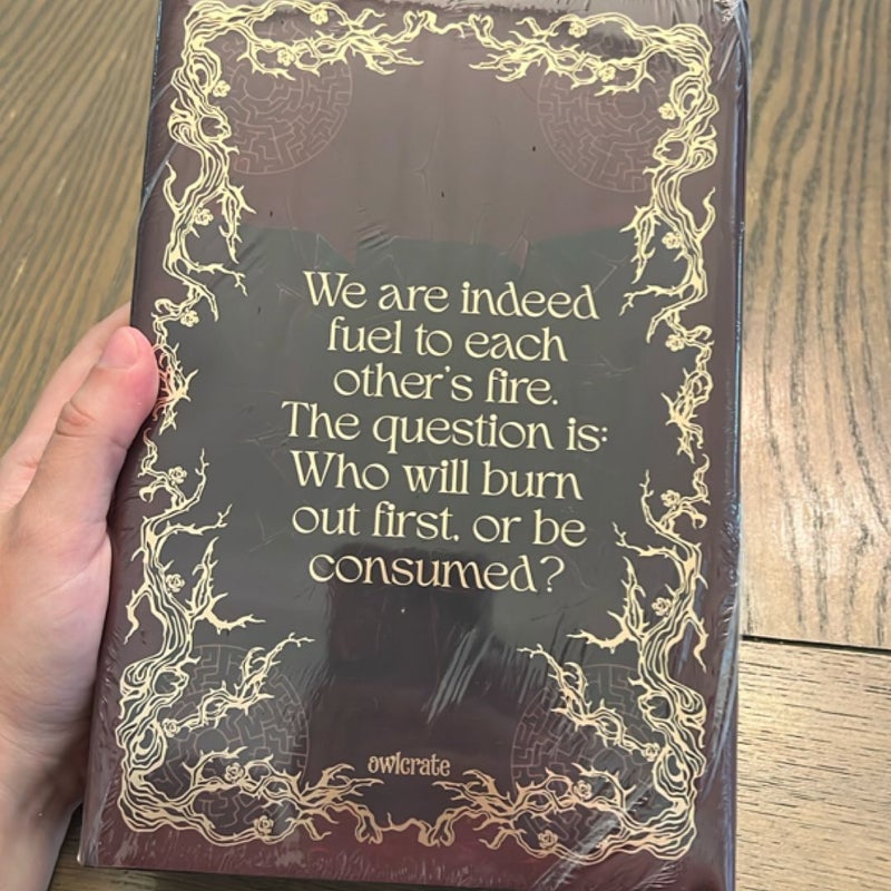 Exquisite Ruin (Owlcrate)