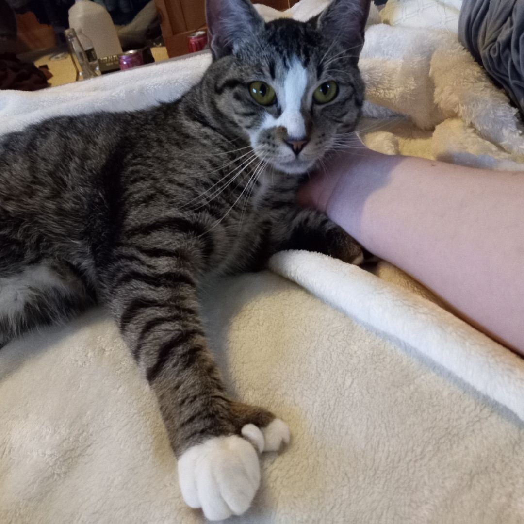 Cate Thulhu