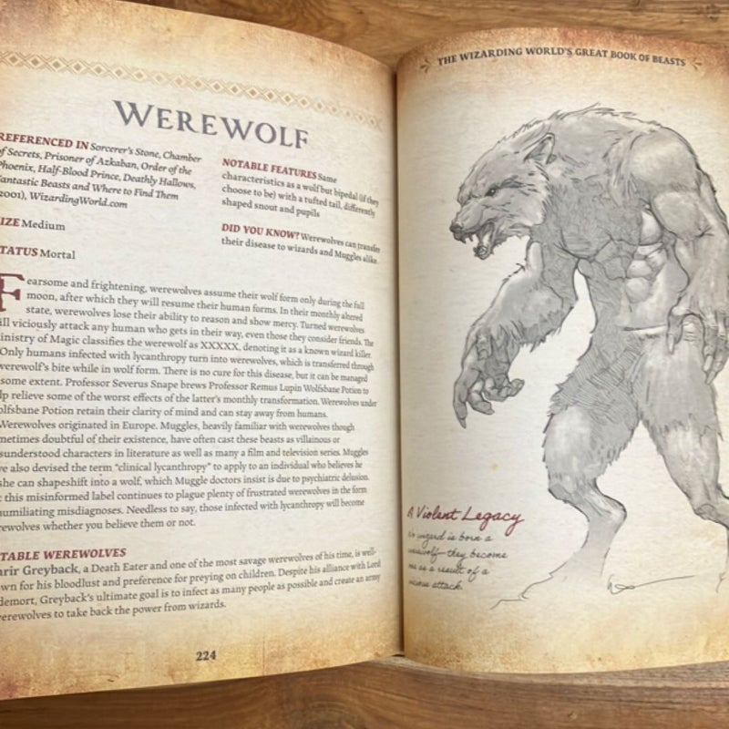 The Wizarding World's Great Book of Beasts