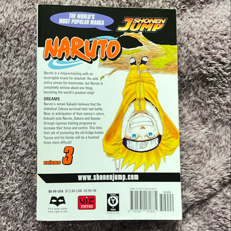 Naruto, Vol. 3