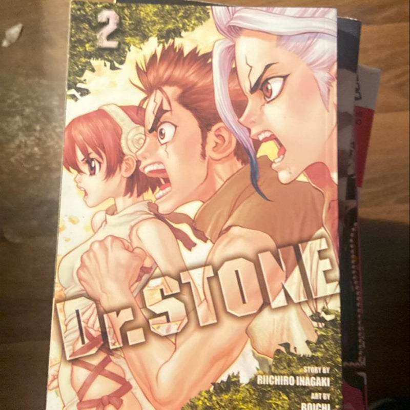 Dr. STONE, Vol. 2