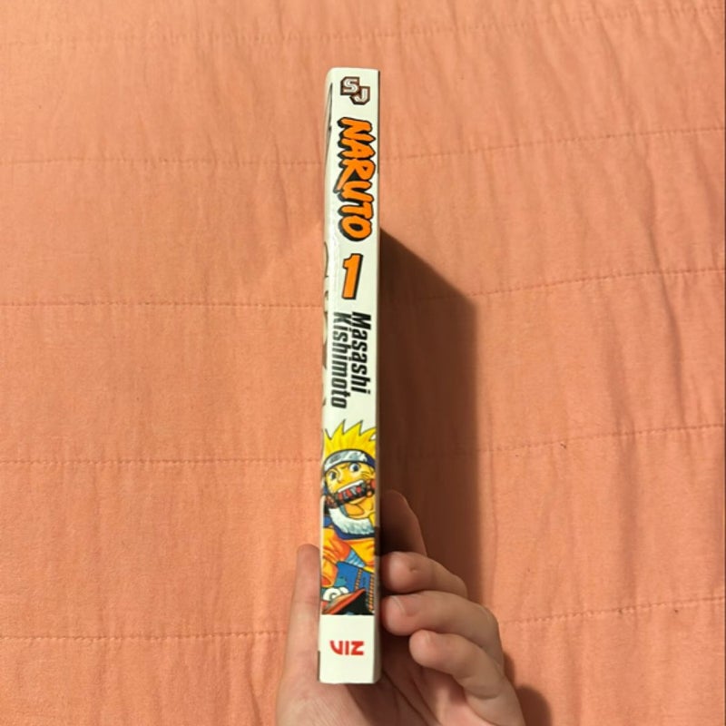 Naruto, Vol. 1