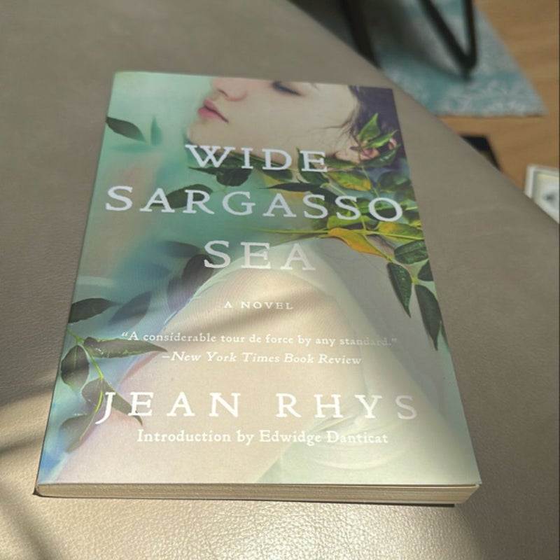 Wide Sargasso Sea