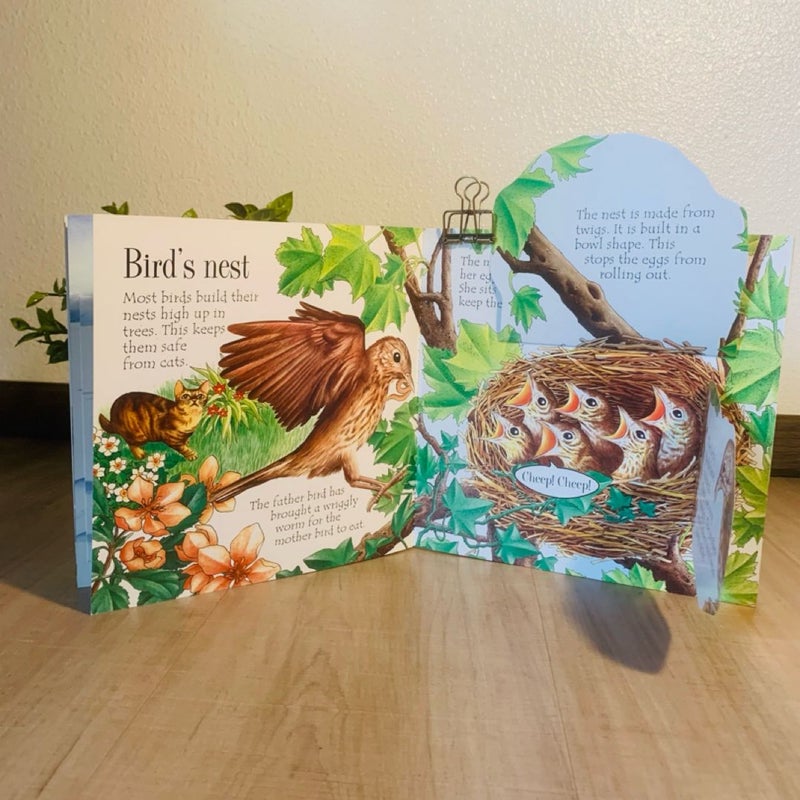 Animal Homes