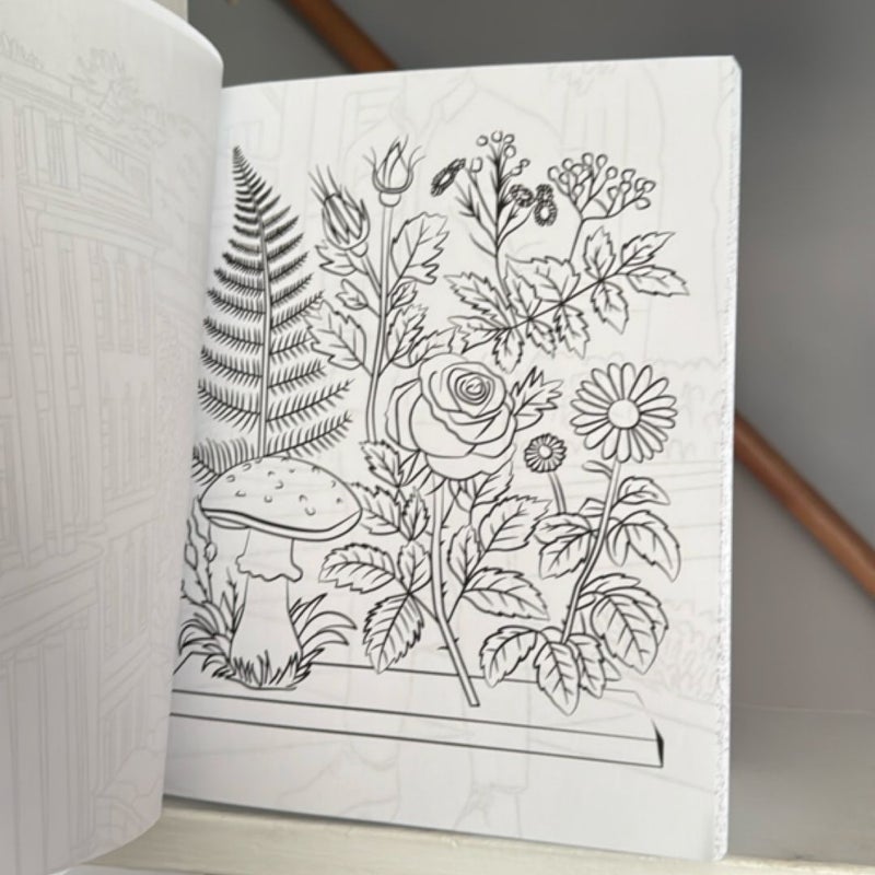 Dark Academia coloring book