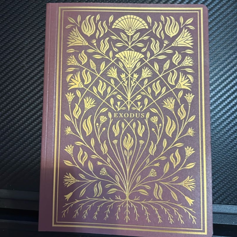 Illuminated scripture Journal