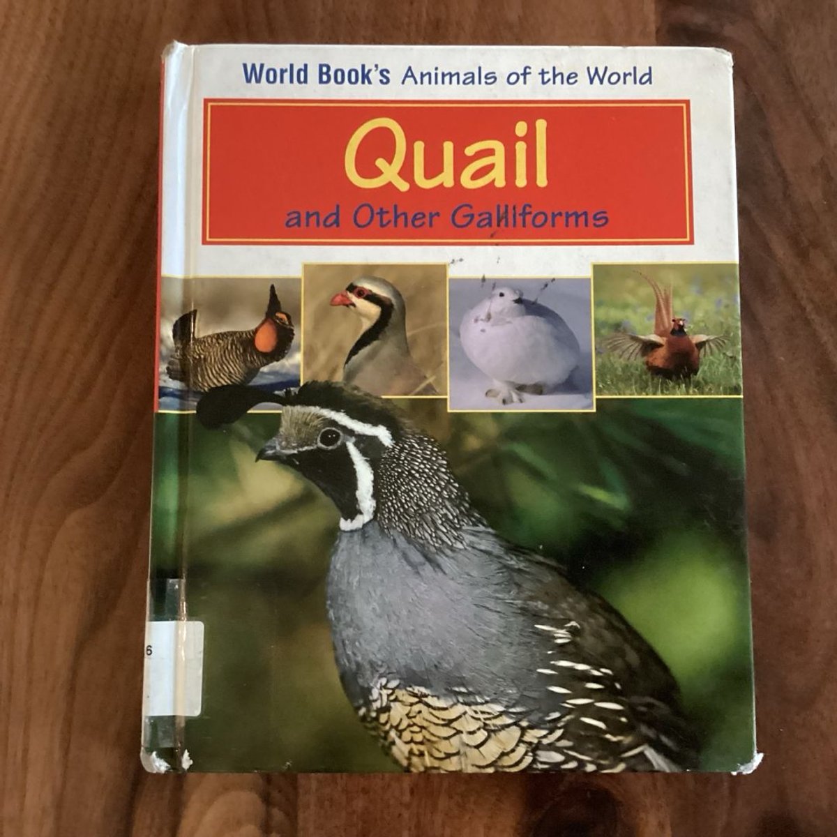 Quail and Other Galliforms by World Book, Inc. Staff