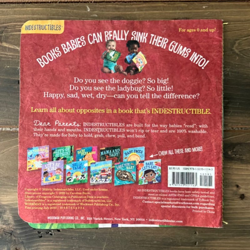 Indestructibles: Big and Little: a Book of Opposites