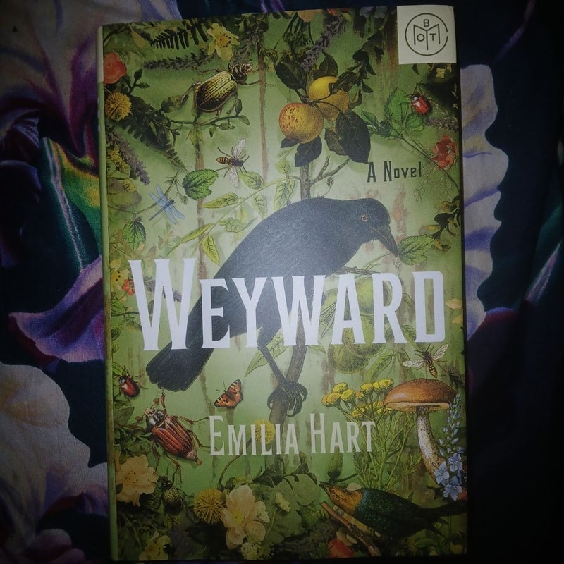 Weyward