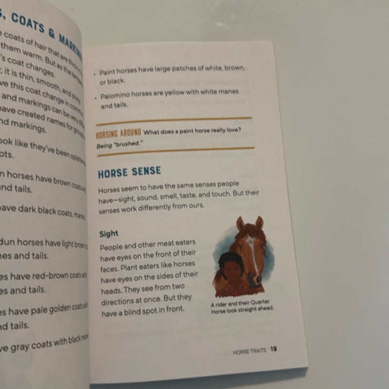 All about Horses