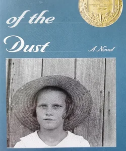 Out of the Dust a Novel 