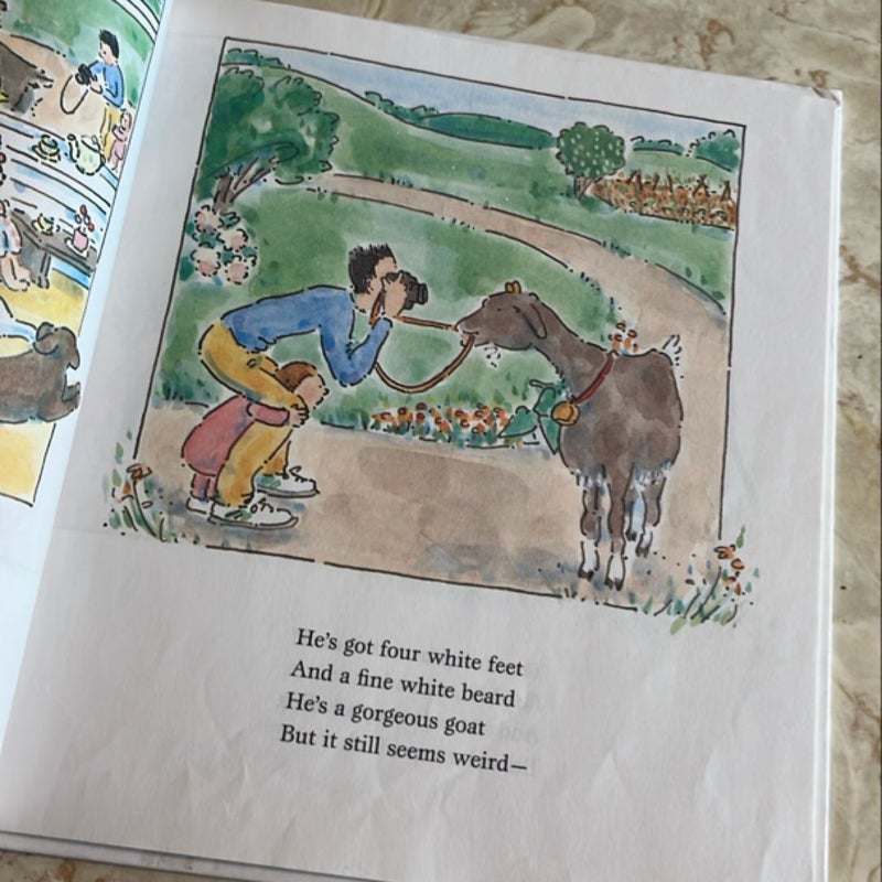 There's a Cow in the Road!