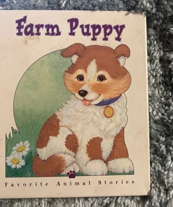 Farm puppy 