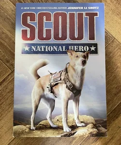 Scout: National Hero