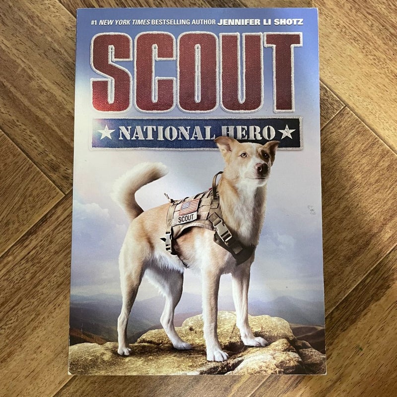 Scout: National Hero