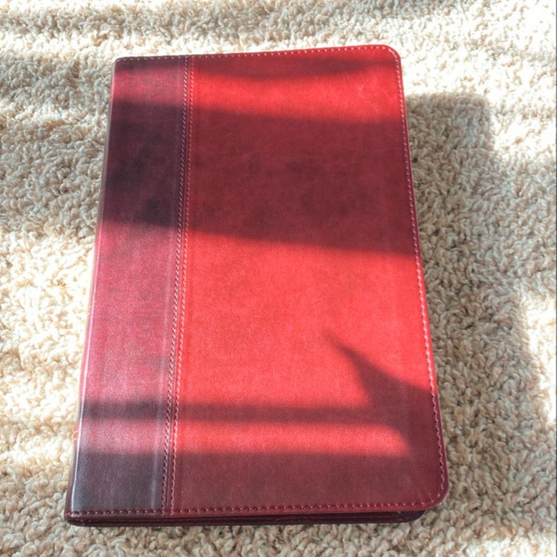 ESV Large Print Thinline Bible (TruTone, Burgundy/Red, Timeless Design)