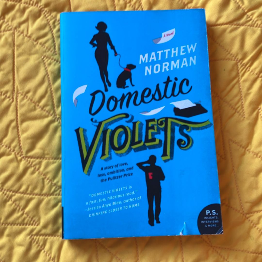 Domestic Violets