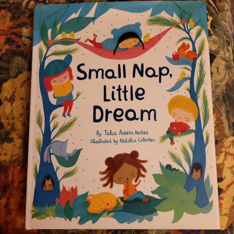 Small Nap, Little Dream